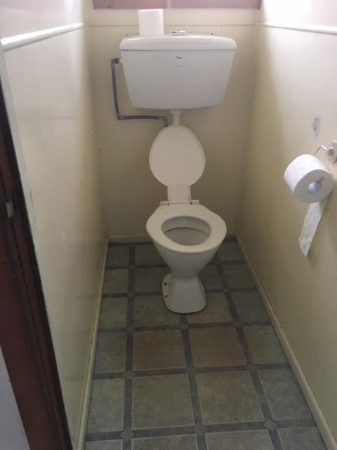 Toilet Before